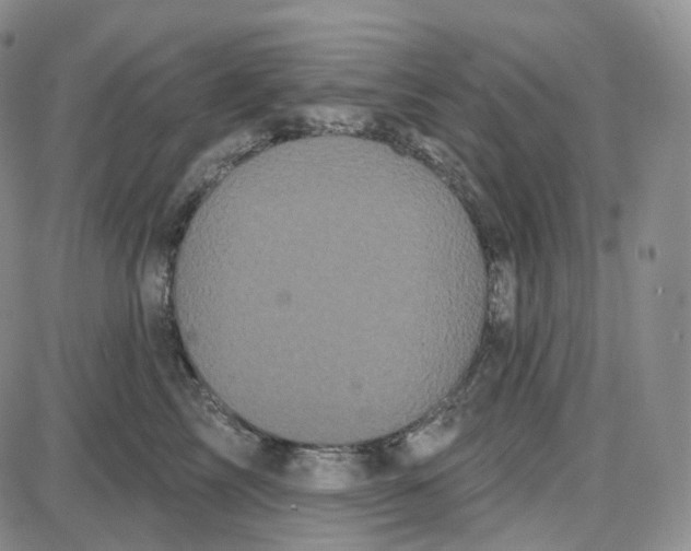 X0000087630713200705241215