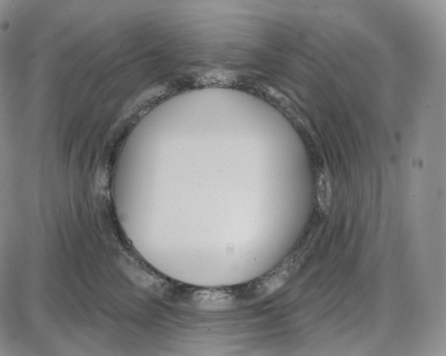 X0000087630714200705241215