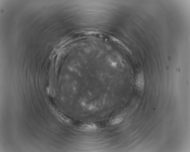 X0000087630715200705241215