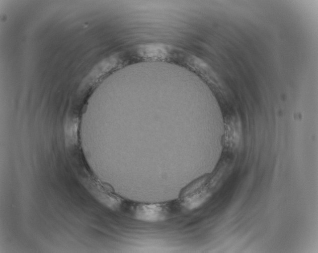 X0000087630717200705241215