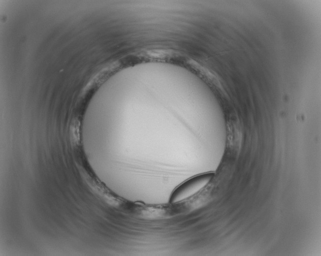 X0000087630718200705241215