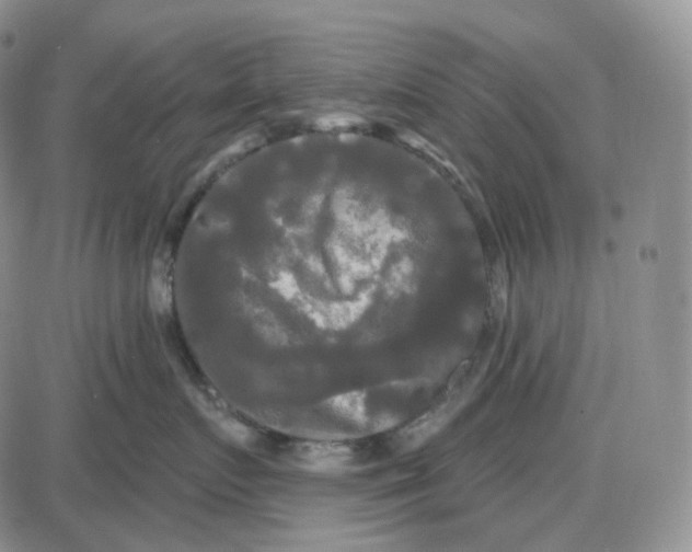 X0000087630719200705241215