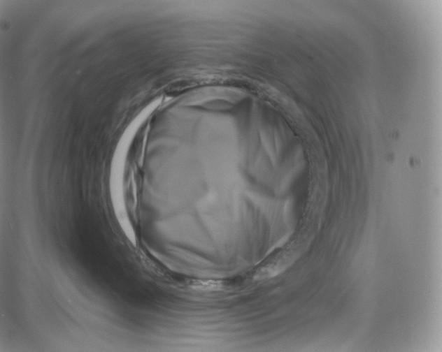 X0000087630720200705241215