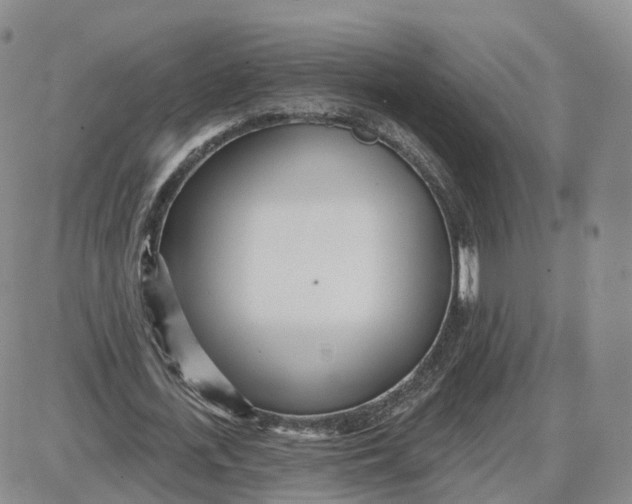 X0000087630723200705241214