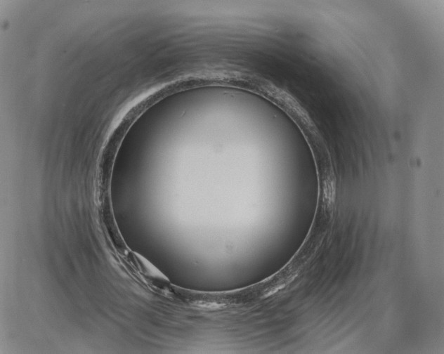 X0000087630724200705241214