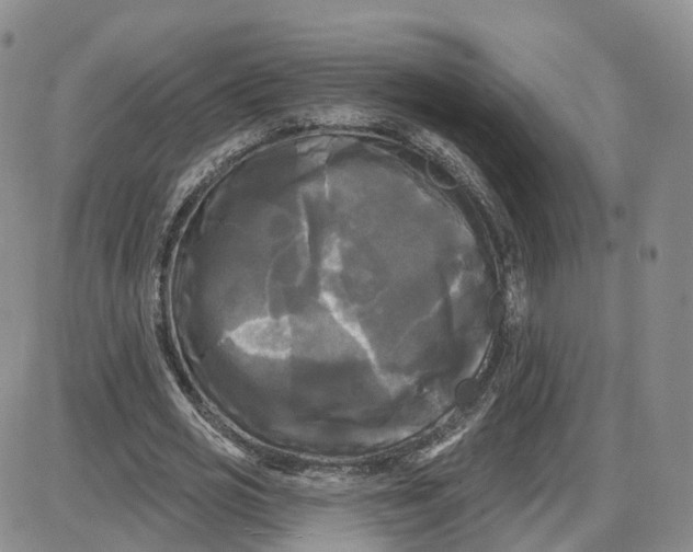 X0000087630725200705241214