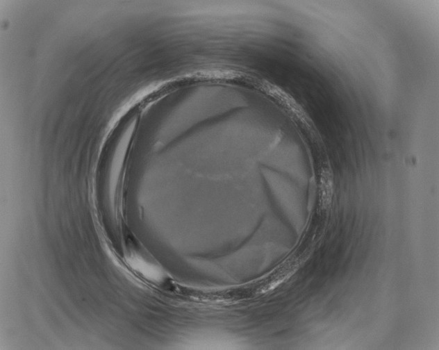 X0000087630726200705241214