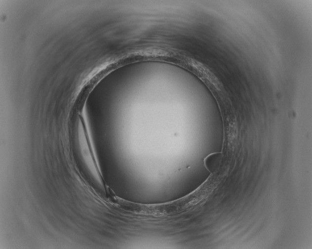 X0000087630727200705241214