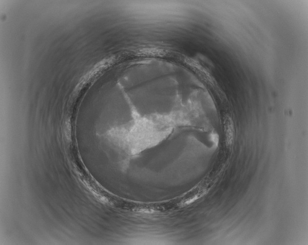 X0000087630729200705241214