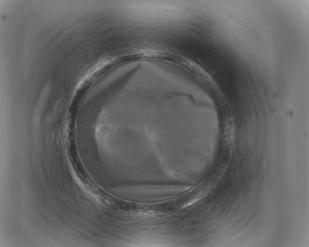 X0000087630730200705241214