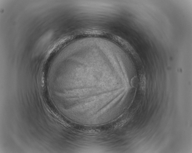 X0000087630731200705241214