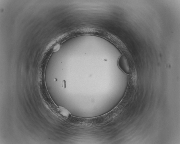 X0000087630732200705241214