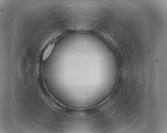 X0000087630735200705241214