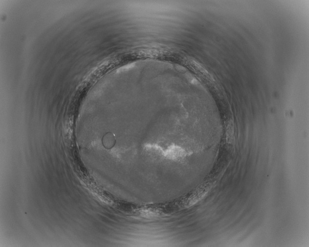 X0000087630737200705241214