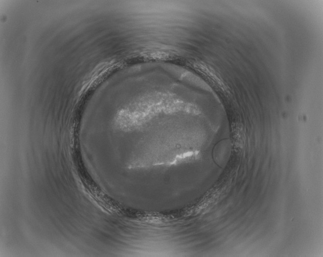 X0000087630738200705241214