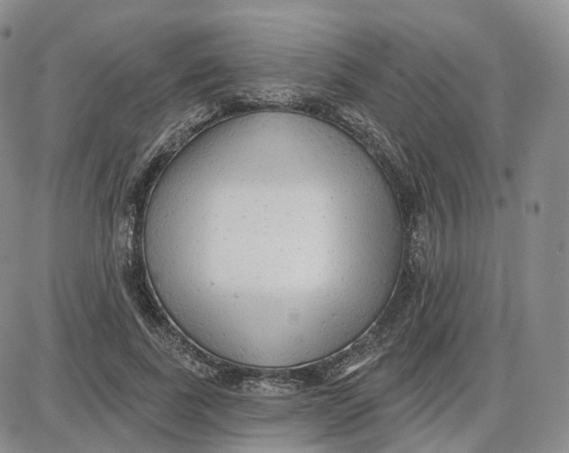 X0000087630739200705241214