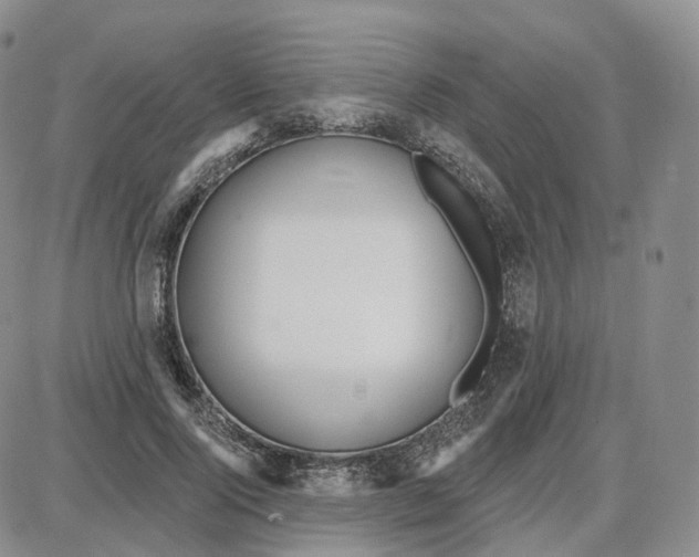 X0000087630740200705241214