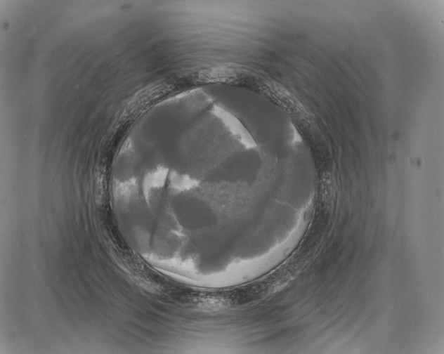 X0000087630741200705241214