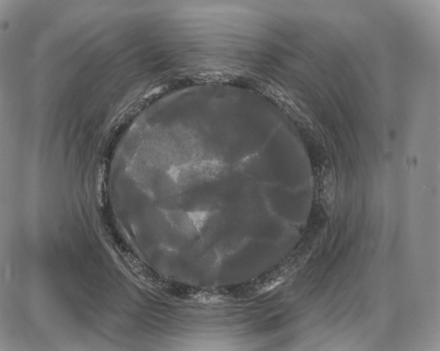 X0000087630742200705241214