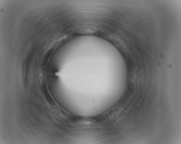 X0000087630743200705241214