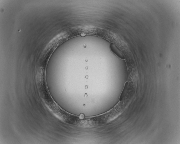 X0000087630744200705241214