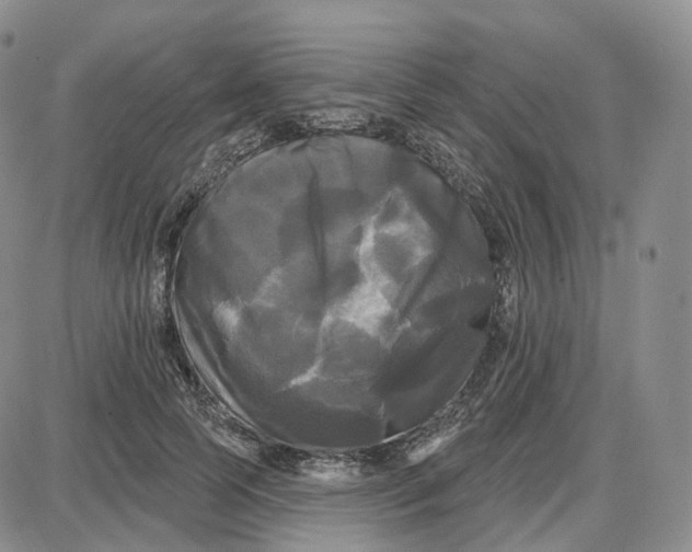 X0000087630745200705241214