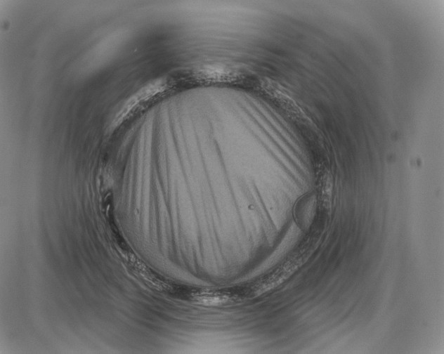 X0000087630746200705241214