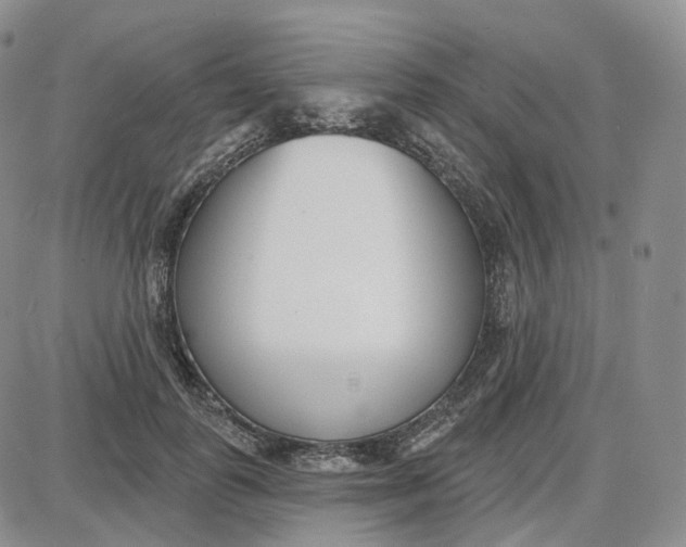 X0000087630747200705241214