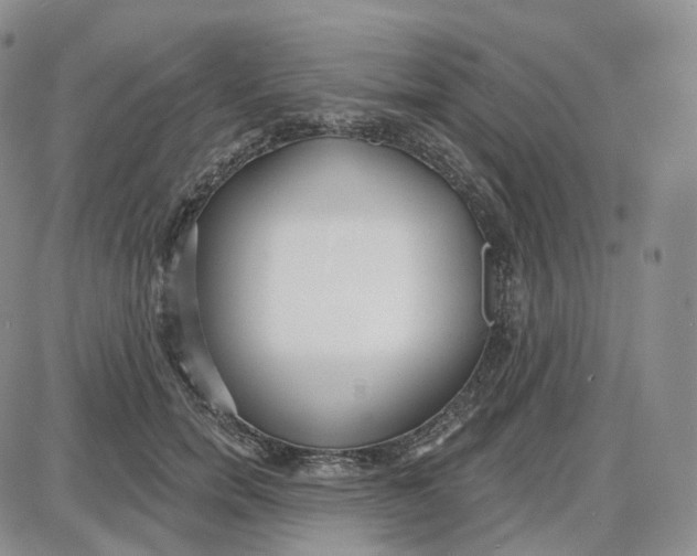 X0000087630750200705241214