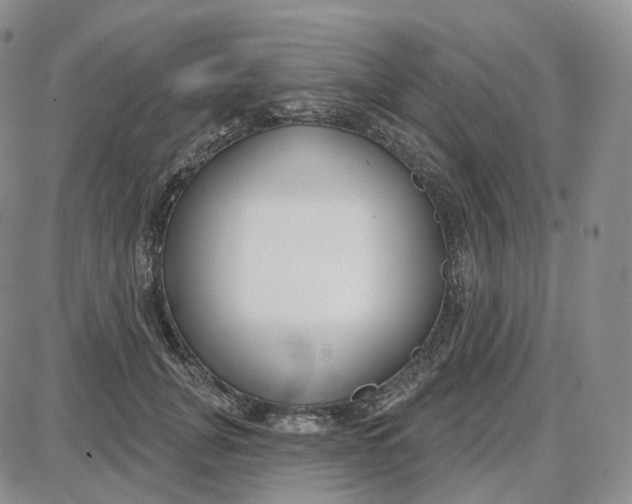 X0000087630751200705241214