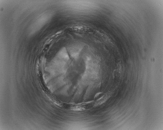 X0000087630754200705241214