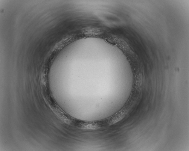 X0000087630755200705241214