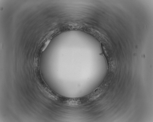 X0000087630756200705241214