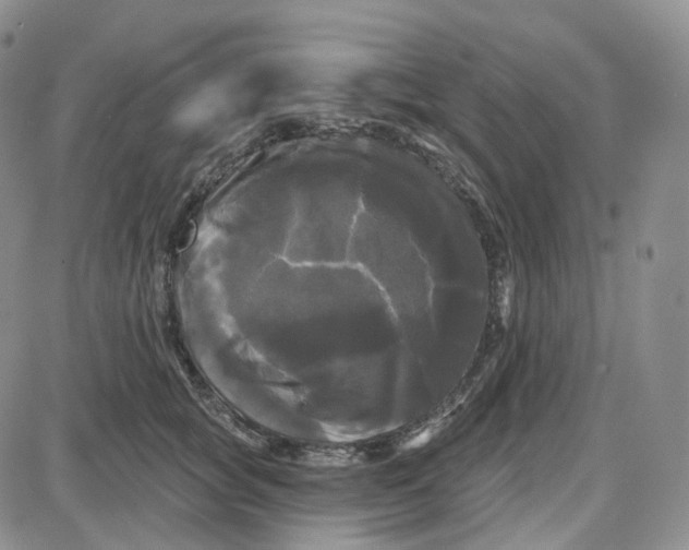 X0000087630757200705241214