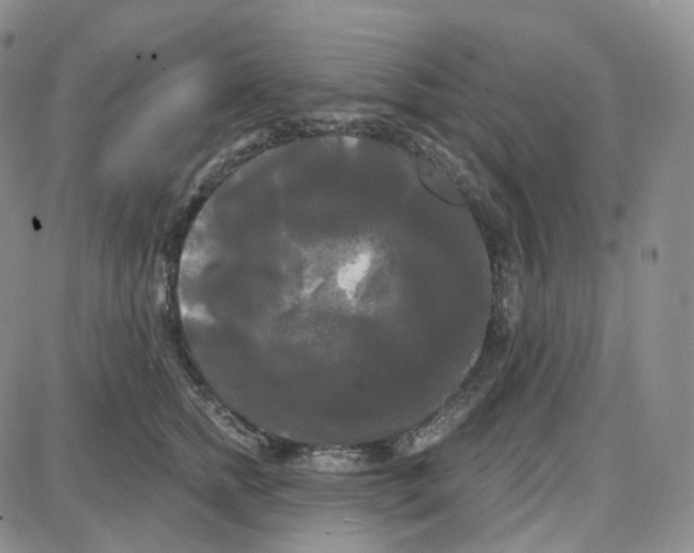 X0000087630758200705241214