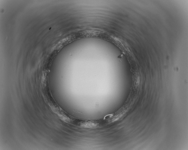 X0000087630759200705241215