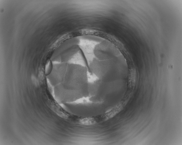 X0000087630761200705241215