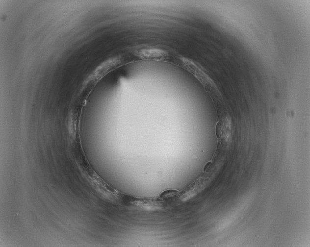 X0000087630763200705241215