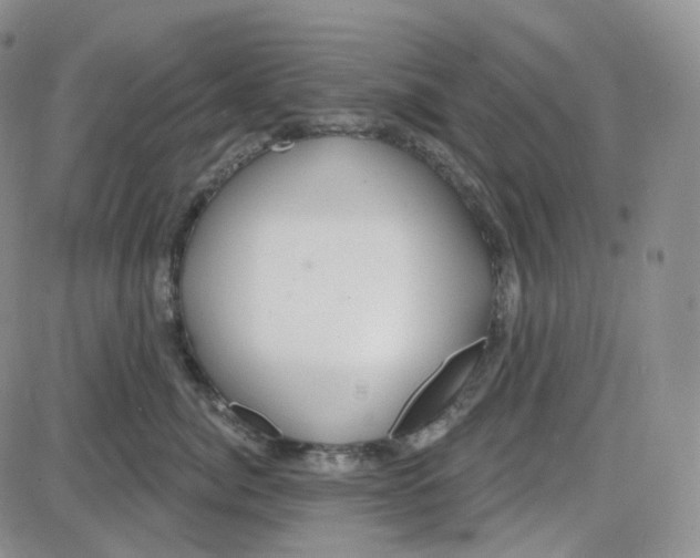 X0000087630764200705241215