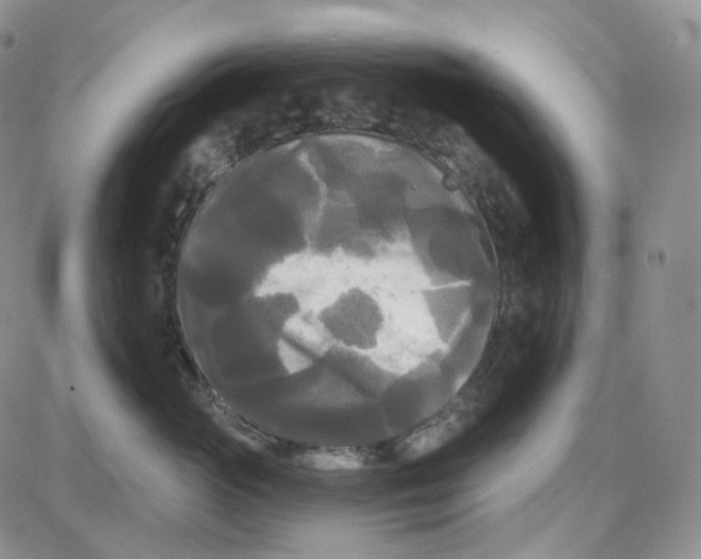 X0000087630765200705241215