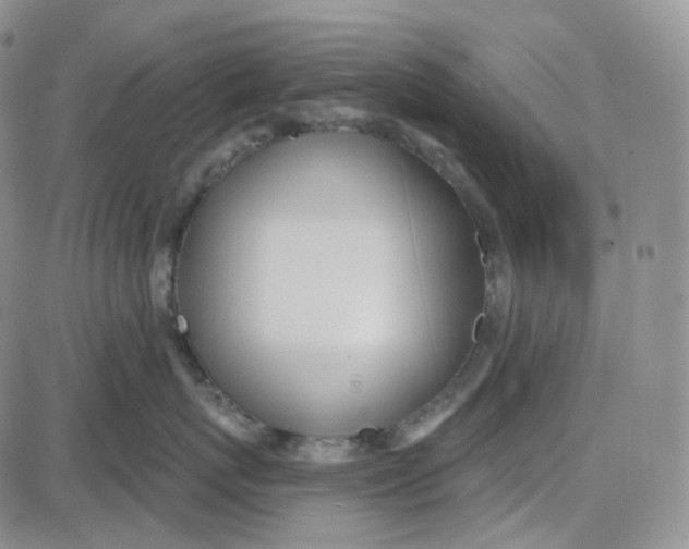 X0000087630767200705241215