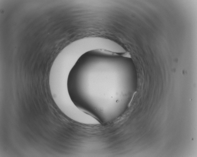 X0000087630768200705241215