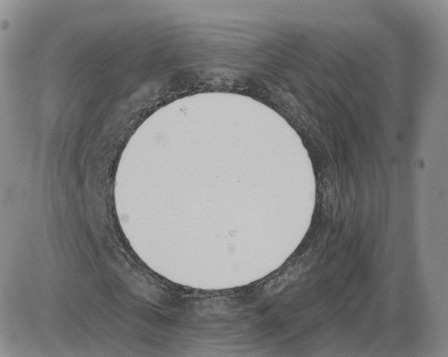 X0000087630769200705241214