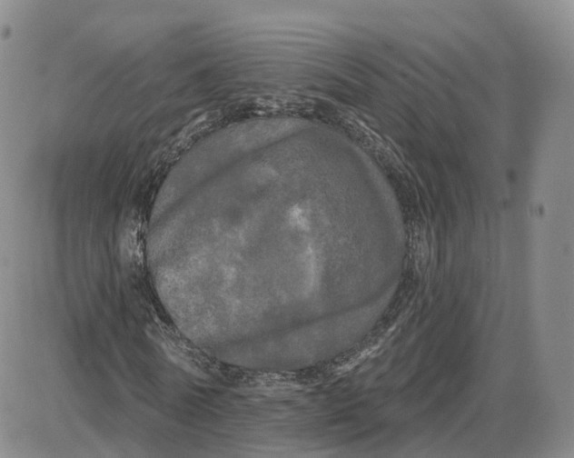 X0000087630770200705241214