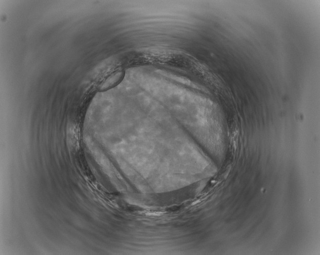 X0000087630772200705241214