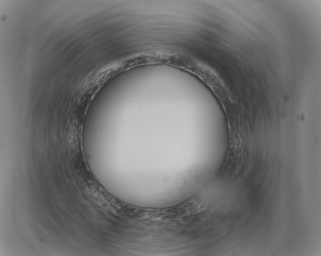 X0000087630773200705241214