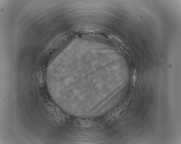 X0000087630774200705241214