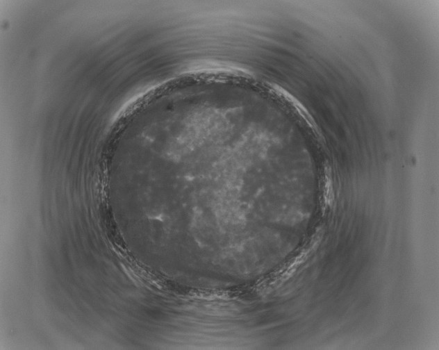 X0000087630775200705241214