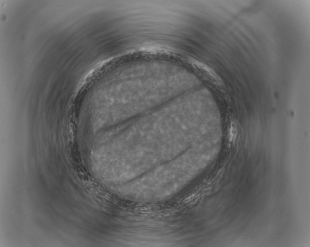 X0000087630776200705241214