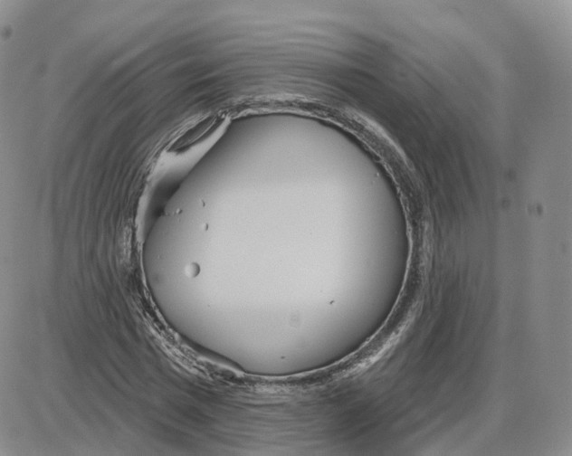 X0000087630777200705241214